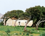 stazzo-h